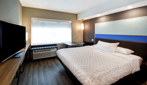 Room, 1 King Bed