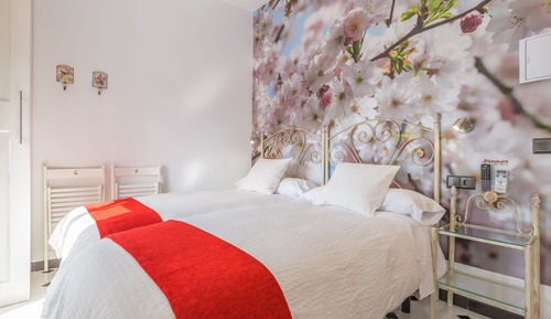 Superior Twin Room, City View (El Lucero)