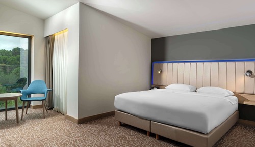 Junior Suite (Forest View)
