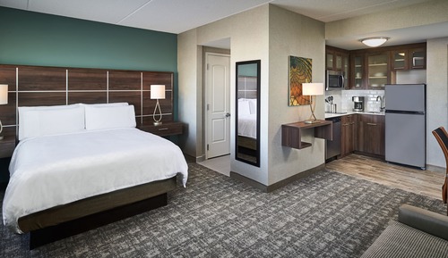 Studio Suite, 1 Queen Bed, Kitchen