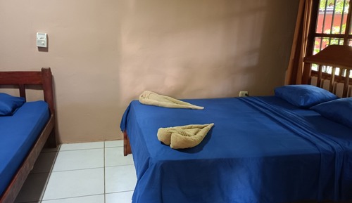 Triple Room, Multiple Beds