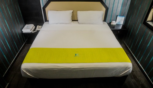 Single Room, 1 King Bed