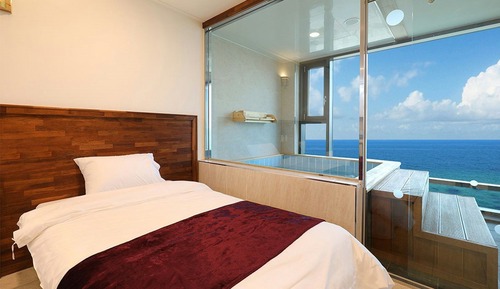 Villa, Ocean View (#203)