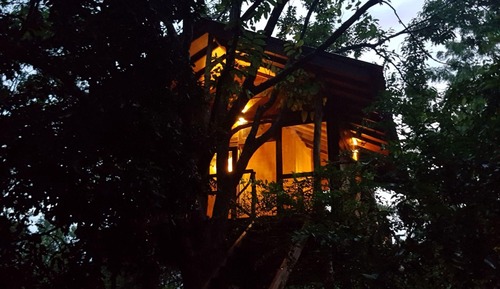 Luxury Tree House, 1 Bedroom, Garden View