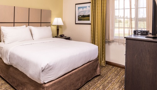 Studio Suite, 1 Queen Bed, Accessible (Mobil Roll Shwr)
