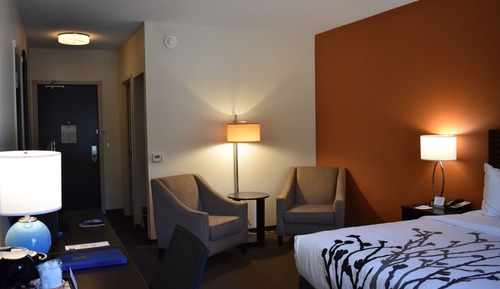 Standard Room, 1 King Bed, Non Smoking