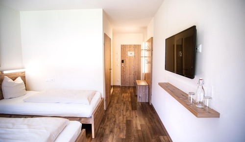 Panoramic Room, Mountain View (Gosaukamm)