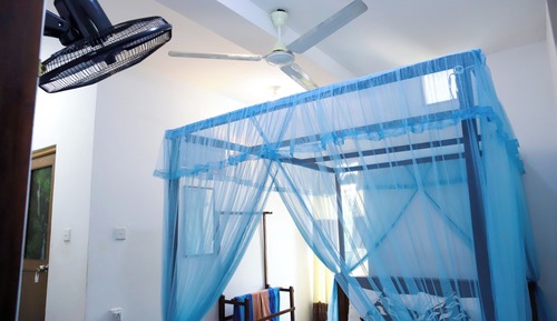 Basic Double Room