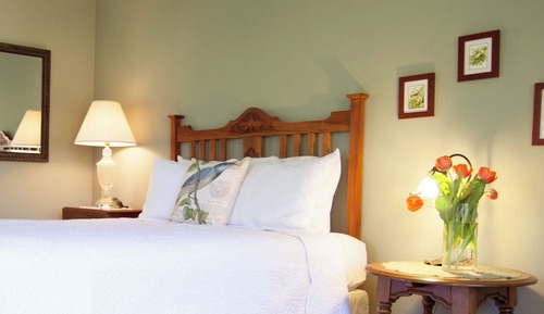 Deluxe Single Room, 1 Queen Bed