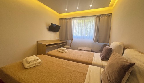 Classic Twin Room