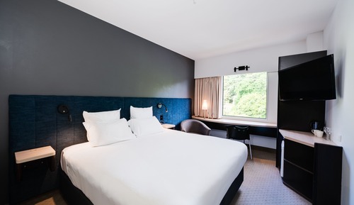 Room, 1 King Bed, City View