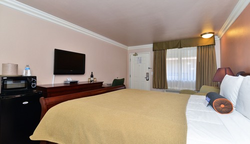 Single Room, 1 King Bed