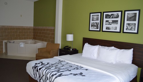 Honeymoon Room, 1 King Bed, Non Smoking, Hot Tub