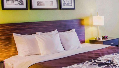 Standard Room, 1 King Bed, Non Smoking