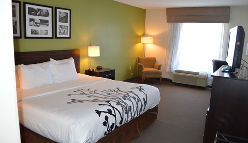 Standard Room, 1 King Bed, Accessible, Non Smoking