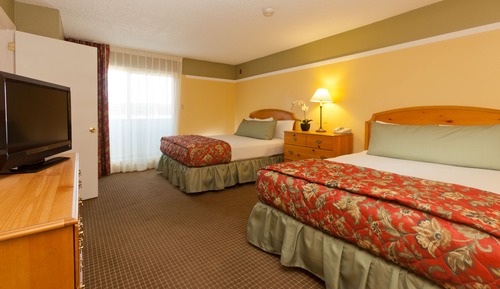 Suite, 1 Bedroom