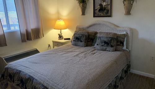 Condo, 1 Bedroom (705)