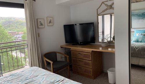 Condo, 1 Bedroom (309)