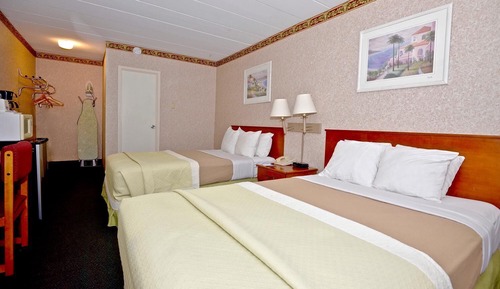 Suite, Multiple Beds
