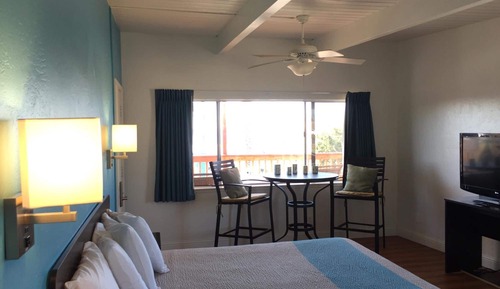 Standard Room, 1 King Bed, Non Smoking, Refrigerator