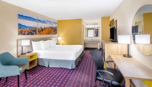 Room, 1 King Bed