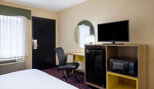 Room, 1 King Bed, Smoking (Pet-friendly)