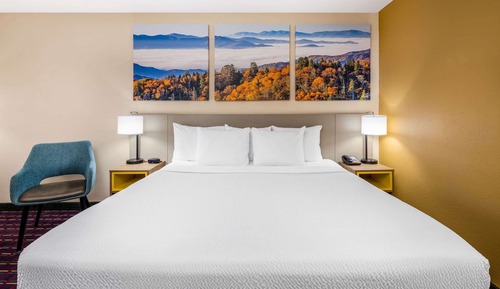Room, 1 King Bed, Non Smoking (Pet-friendly)