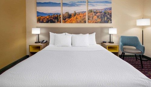 Room, 1 King Bed, Accessible, Non Smoking (Pet-friendly)