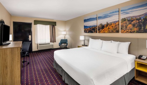 Room, 1 King Bed, Non Smoking
