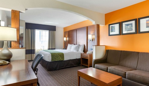 Suite, 1 King Bed with Sofa bed, Accessible, Non Smoking