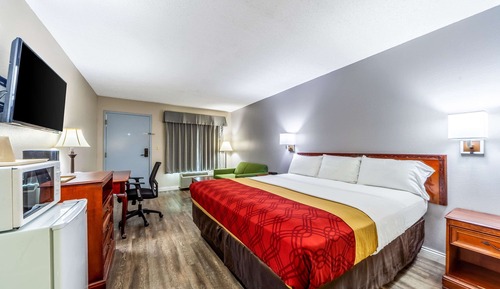 Room, 1 King Bed, Accessible, Non Smoking
