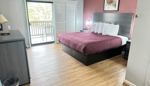 Standard Single Room, 1 King Bed, Accessible, Refrigerator & Microwave