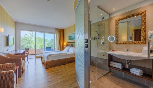 Classic Double Room, Hill View