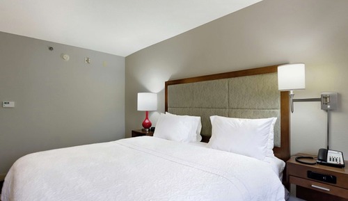 Room, 1 King Bed (Roll-in Shower)