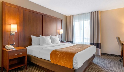Suite, 1 King Bed with Sofa bed, Non Smoking
