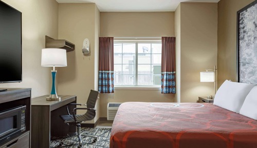 Room, 1 King Bed, Non Smoking