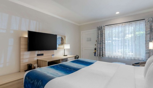 Standard Room, 1 King Bed, Non Smoking