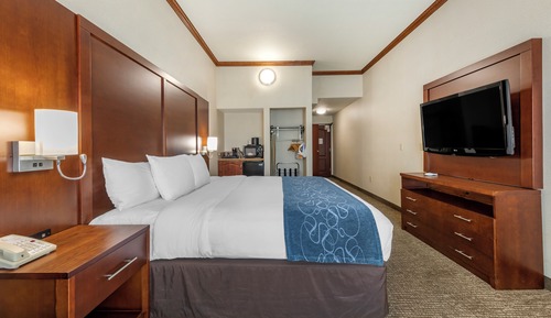 Suite King, Accessible, (Roll In Shower), Non Smoking