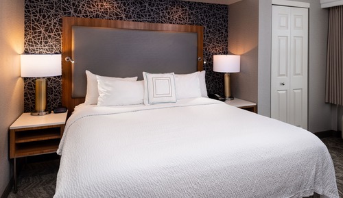 Studio, 1 King Bed with Sofa bed