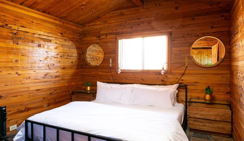 Room, 1 King Bed