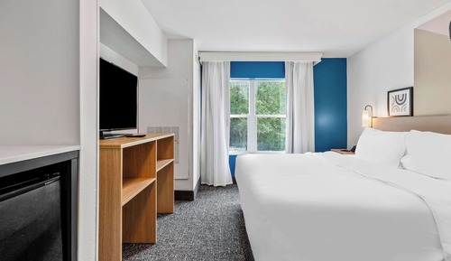 Studio, 1 King Bed