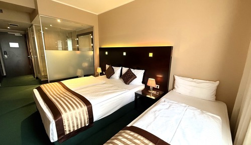 Exclusive Triple Room