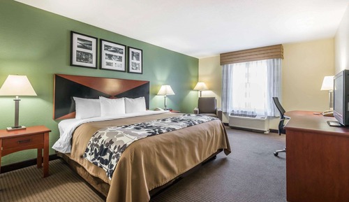 Room, 1 King Bed, Accessible, Non Smoking (Roll-In Shower)