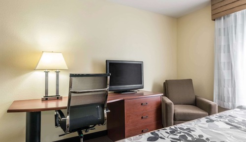 Suite, 1 King Bed with Sofa bed, Non Smoking