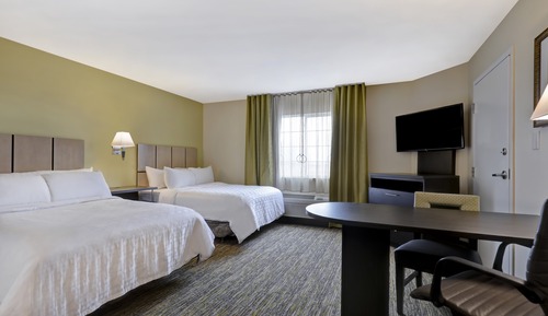 Studio Suite, 2 Double Beds, Kitchen