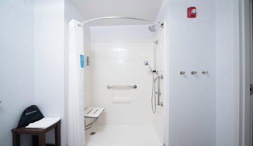 Room, 1 King Bed, Accessible