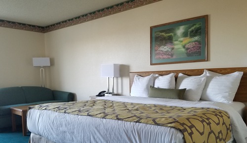 Room, 1 King Bed, Non Smoking