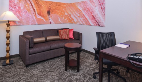 Suite, 1 King Bed with Sofa bed, Non Smoking