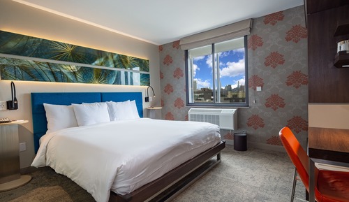 Superior Single Room, 1 King Bed