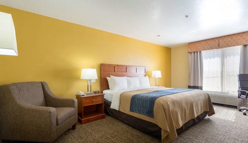 Standard Room, 1 King Bed, Non Smoking